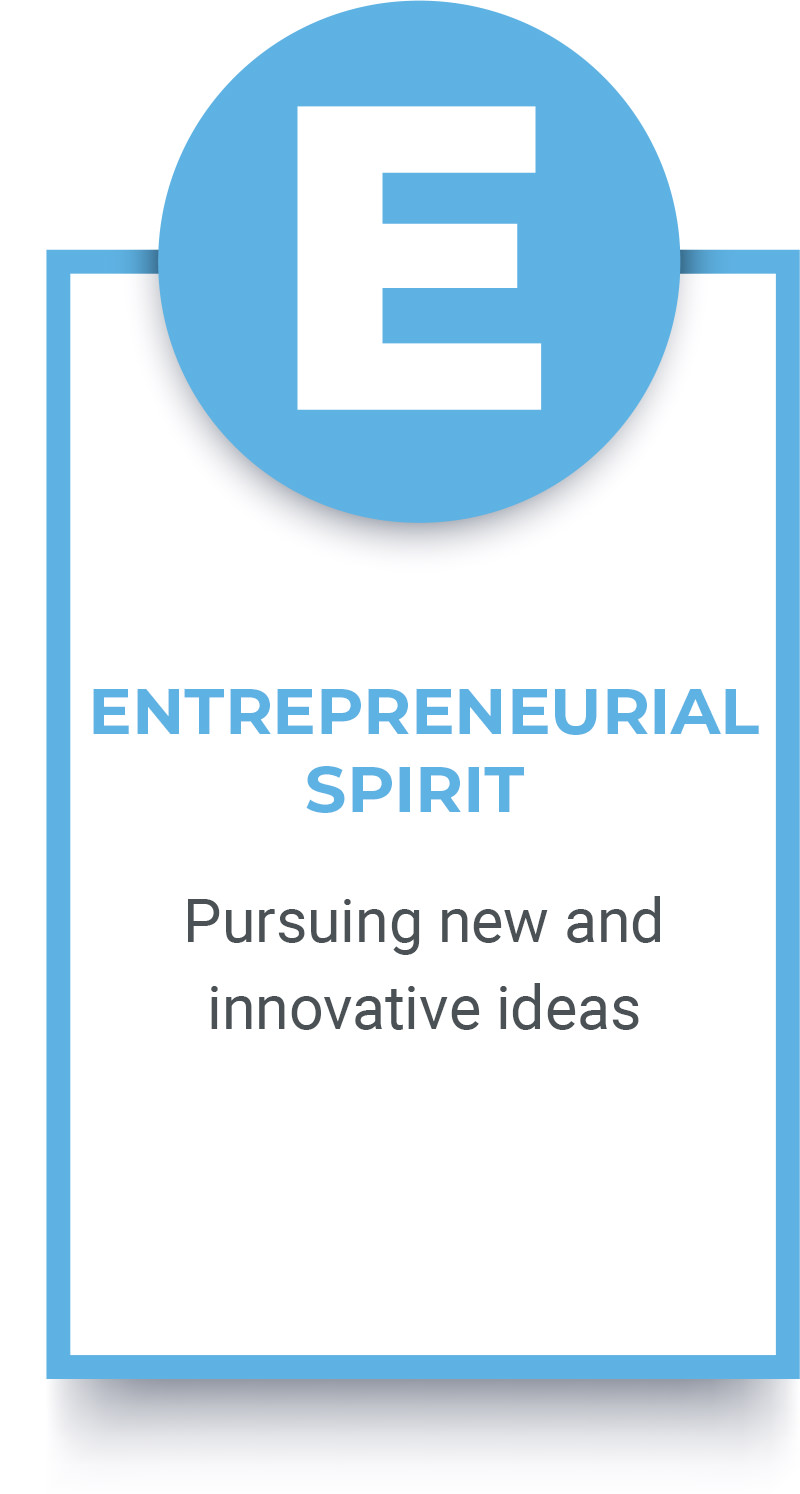 entrepreneurial